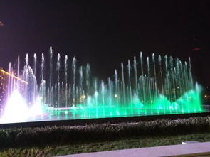 昨晚,濱海新區有一處童話世界