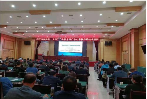 大悟縣農(nóng)業(yè)技術推廣中心聯(lián)合武漢市農(nóng)科院開展科技服務活動