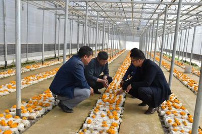 政府圍著企業(yè)轉(zhuǎn) 永勝各部門當(dāng)好&ldquo;服務(wù)員&rdquo;_頭圖