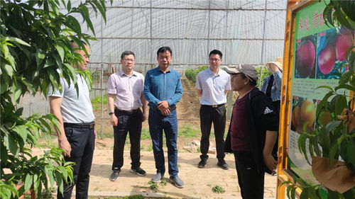 平頂山市科技局實(shí)地考察市級(jí)星創(chuàng)天地建設(shè)情況