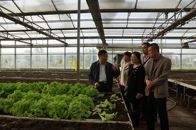 北京金六環(huán)農(nóng)業(yè)園成為我校研究生聯(lián)合培養(yǎng)基地