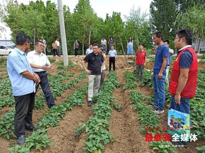 &ldquo;農科先鋒&rdquo;志愿服務,科技助力產業振興