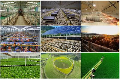 2023年慶陽農(nóng)業(yè)農(nóng)村工作十大成效