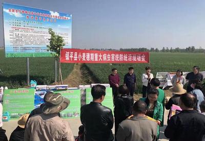 鎮平縣科協:志愿踐行雷鋒精神 科技服務鄉村振興