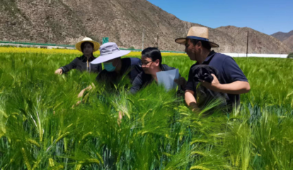 提升創(chuàng)新能力 推動成果轉化--州農技站2022年度&ldquo;三區(qū)&rdquo;科技服務工作紀實