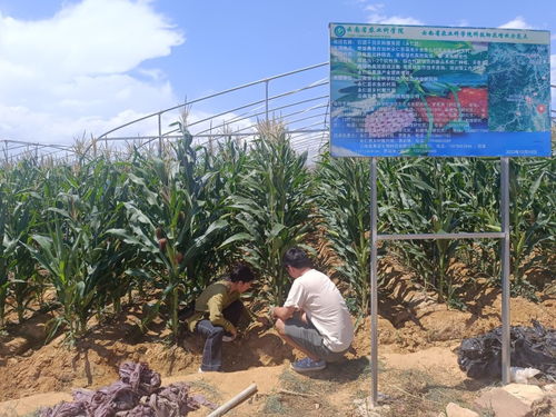 云南省農業(yè)科學院官方網站 云南省農科院