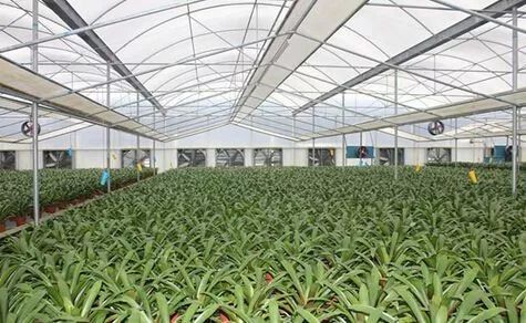 財(cái)政部公示21個(gè)國(guó)家現(xiàn)代農(nóng)業(yè)產(chǎn)業(yè)園,服務(wù)現(xiàn)代農(nóng)業(yè)我們是認(rèn)真的