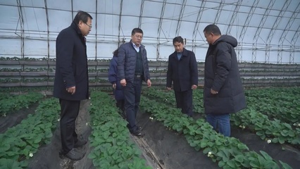 應對雨雪冰凍天氣:專家入戶協(xié)助做好農(nóng)業(yè)防寒指導