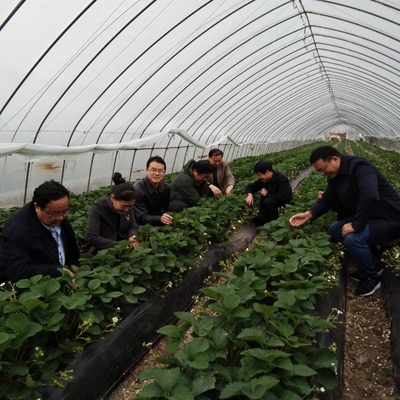 田家庵區(qū)科技特派員對接農(nóng)業(yè)基地