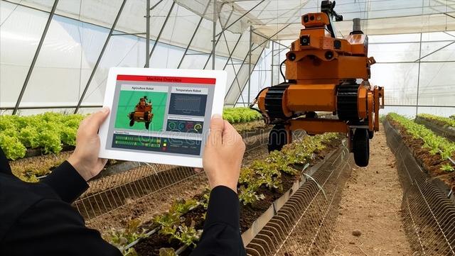 未來農(nóng)村的發(fā)展格局:養(yǎng)老服務,高科技農(nóng)業(yè),機械化,自動化