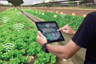 麥麥科技獲數(shù)千萬元天使輪融資 發(fā)展ToB端智慧農(nóng)業(yè)科技服務平臺