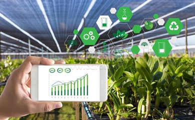 山地農業發展方向,智慧農業助力山地生態。