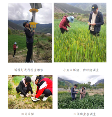 農口科技人員春季下基層服務簡報