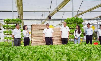 服務(wù)三農(nóng) 助力鄉(xiāng)村振興 河南日報社南陽分社黨支部聯(lián)合內(nèi)鄉(xiāng)縣中以高效農(nóng)業(yè)科技開發(fā)黨支部開展主題黨日活動