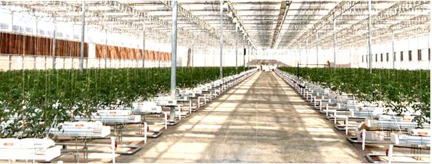 南昌紅谷灘元宇宙VR數(shù)字農(nóng)業(yè)示范基地