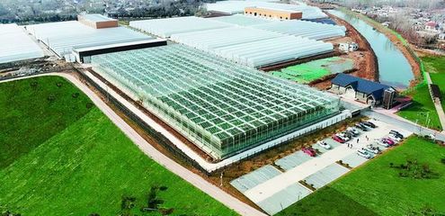 農業生產方式創新:都市農場;數據:農業總產值或達10.7萬億