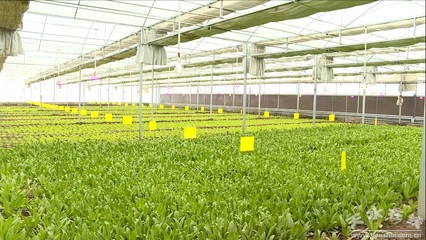 【我們這十年】科技創(chuàng)新助力秦州經(jīng)濟高質(zhì)量發(fā)展(圖)