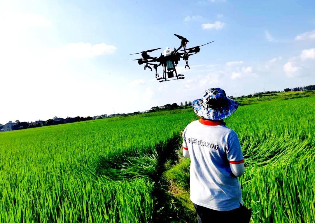 農(nóng)業(yè)科技服務(wù)推廣的持續(xù)性與完整性探討